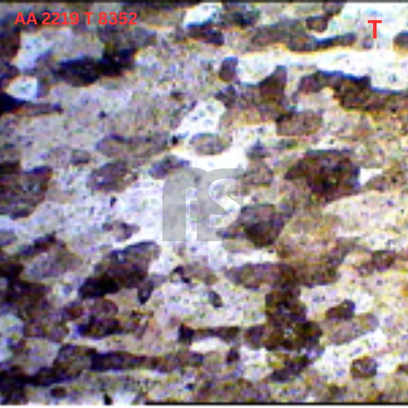 Metallurgical Microstructure 2 - AA 2219 T 8352 open die forging Hyderabad India